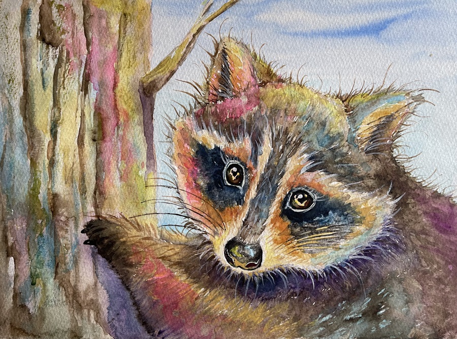 photo of the raccoon painting by burbage artist sophie huddlestone