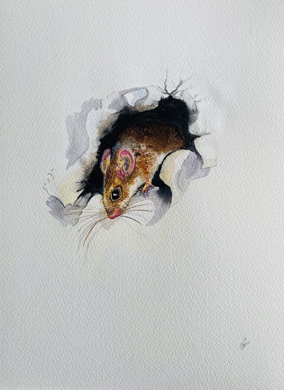 mouse painting by sophie huddlestone